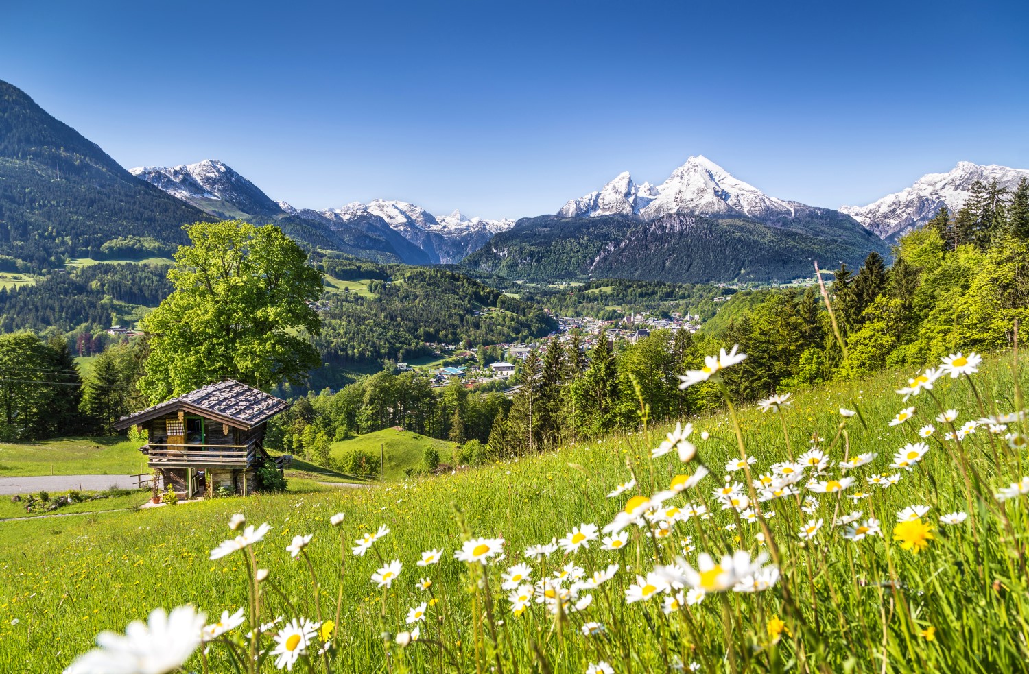 Auch Deutschland hat zauberhafte Natur.