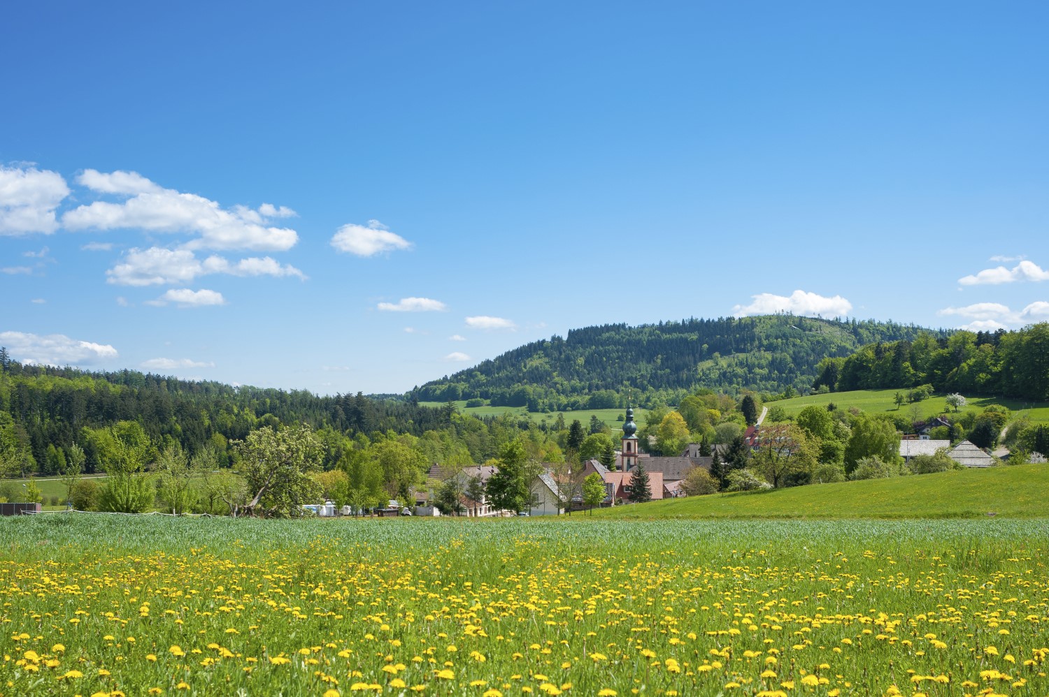 Single rhein neckar kreis