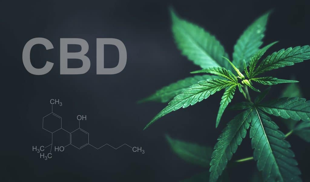 Eine Hanfpflanze und der chemische Aufbau des Cannabinoids CBD.