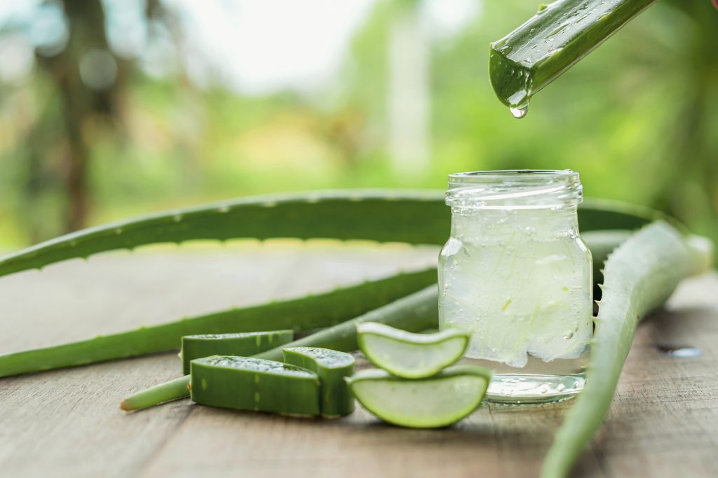 Das heilsame Gel aus der Aloe-Vera Pflanze