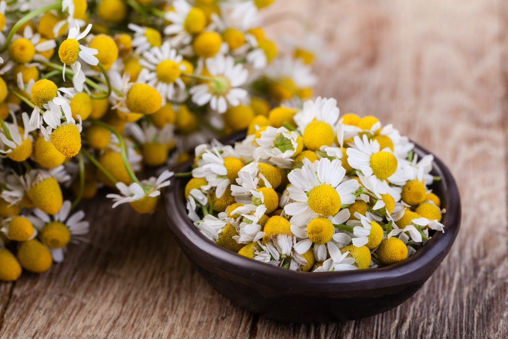 Kamillebad als ayurvedisches Mittel bei Gürtelrose