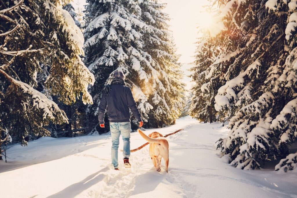 Mann am spazieren im Schnee mit Hund