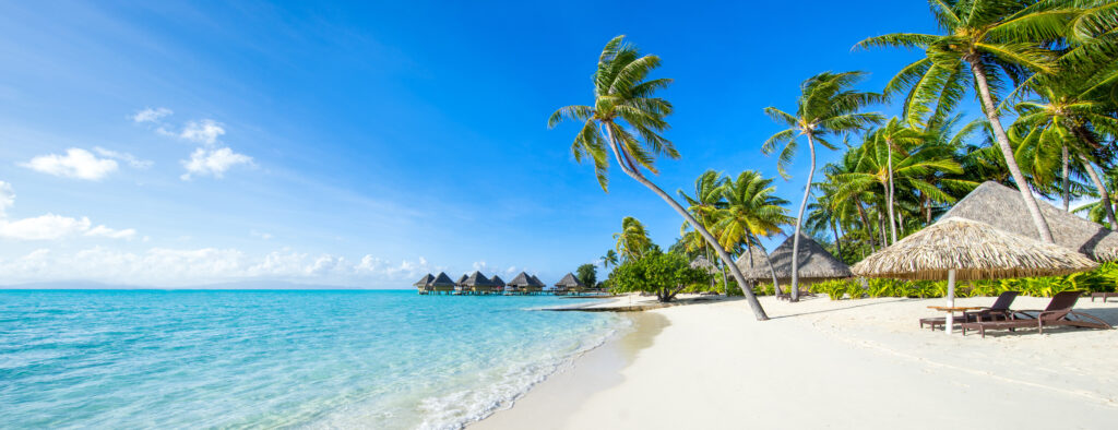Weißer Sandstrand mit Palmen und klarem Wasser in einem tropischen Urlaubsland