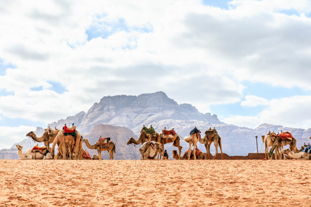Die eindrucksvolle Beduinen Kultur in Jordanien