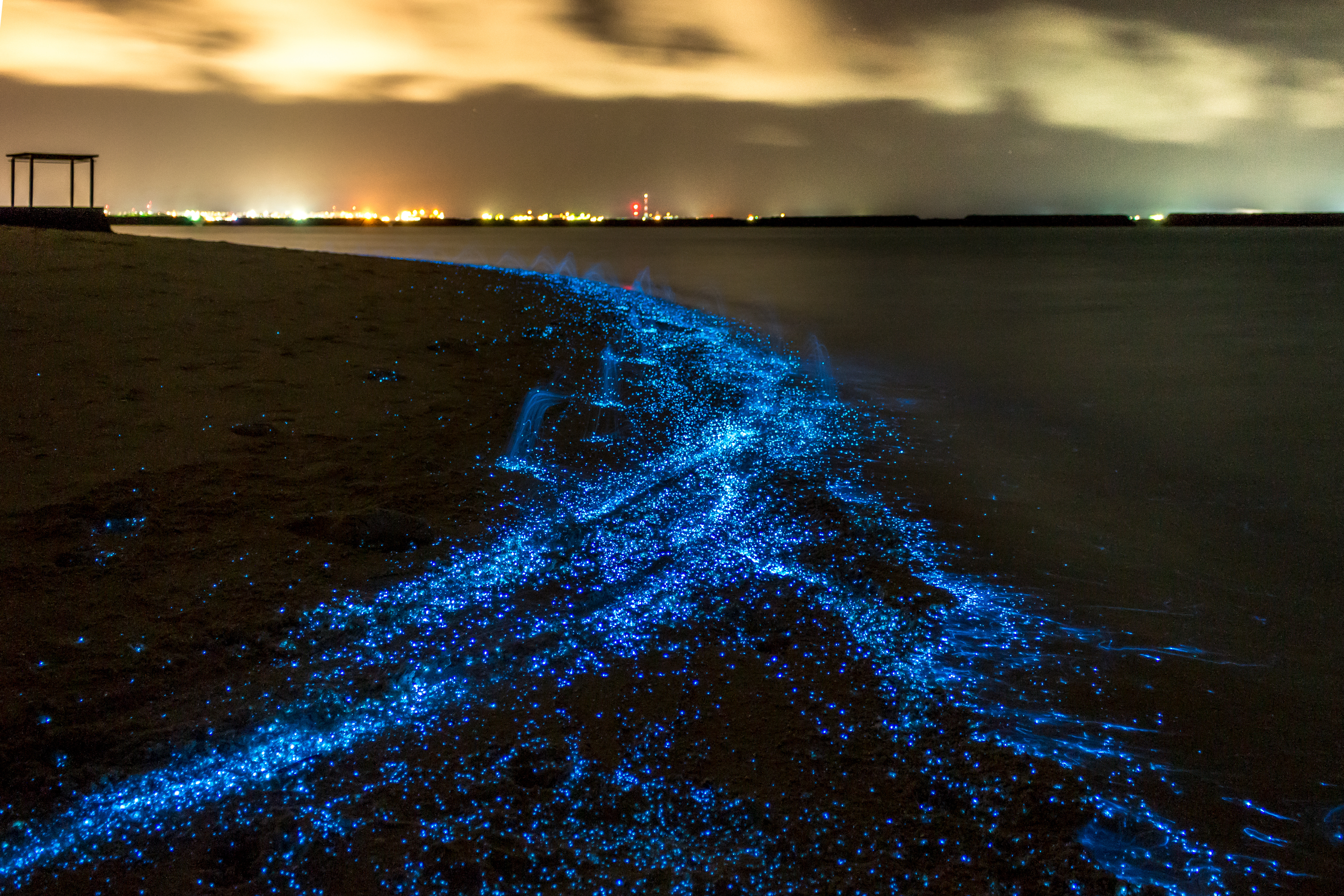 Sehenswürdigkeit Malediven, Naturphänomen: Strandufer bei Nacht, blau leuchtende Punkte im Wasser