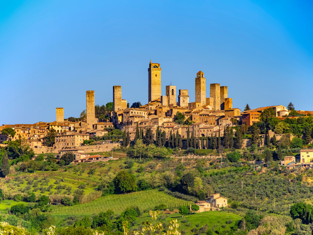 Im Vordergrund Olivenbäume und Weinfelder, in der Mitte des Fotos ragen auf einem Hügel die Türme der Stadt San Gimignano in die Höhe