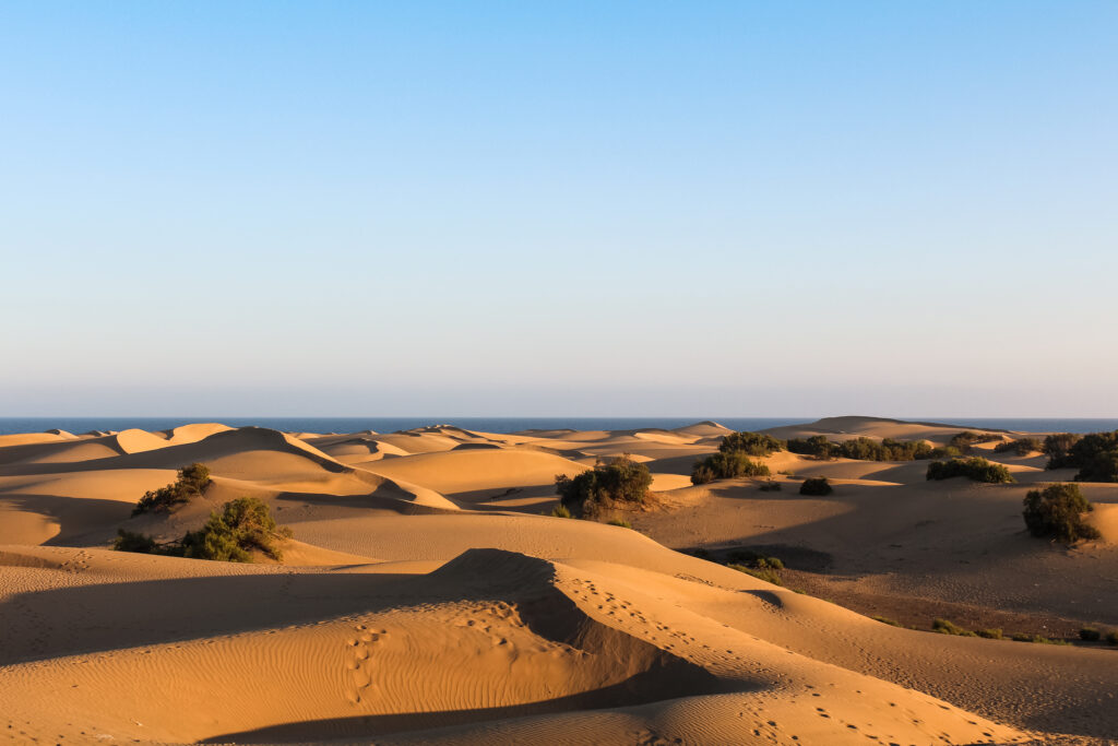 Dünen von Maspalomas: Einzigartige Sandlandschaften und eine faszinierende Sehenswürdigkeit in Spanien