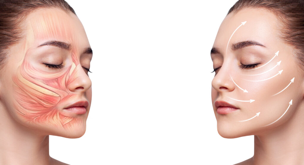 Die Gesichtsmuskeln haben große Auswirkungen auf das Hautbild und die Gesichtszüge - daher ist Gesichtsyoga so vorteilhaft.