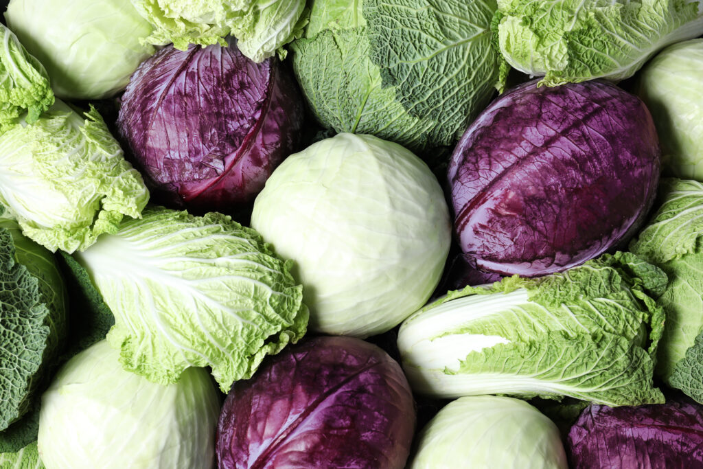 Verschiedene Kohlsorten für die Kohlsuppendiät, wie Weißkohl, Chinakohl und Rotkohl.
