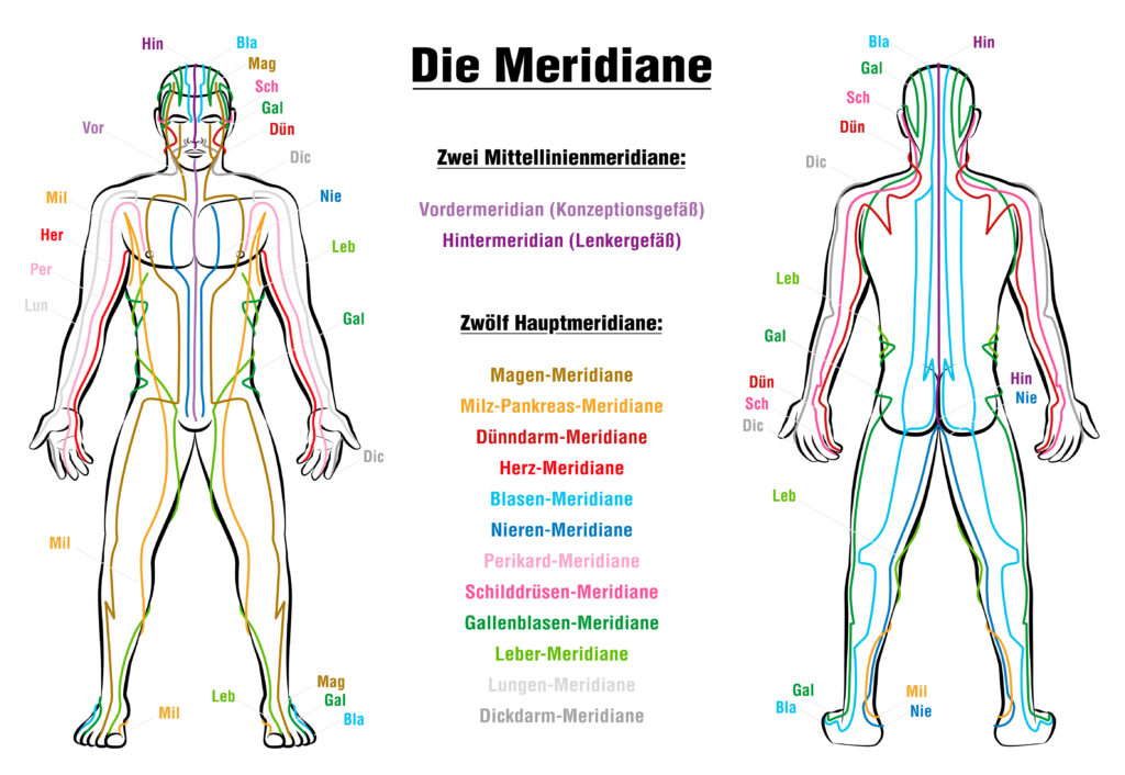 Die Meridiane im Körper