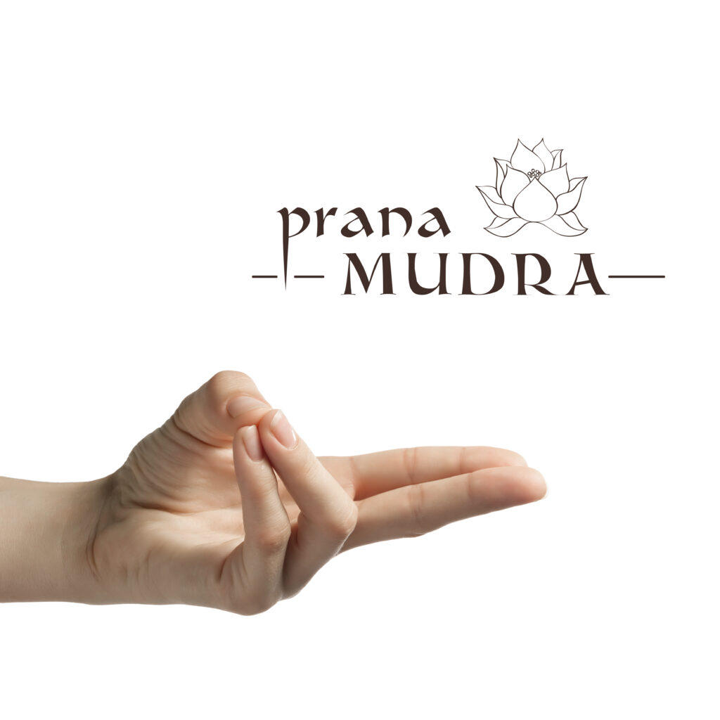 Prana Mudra im Yoga