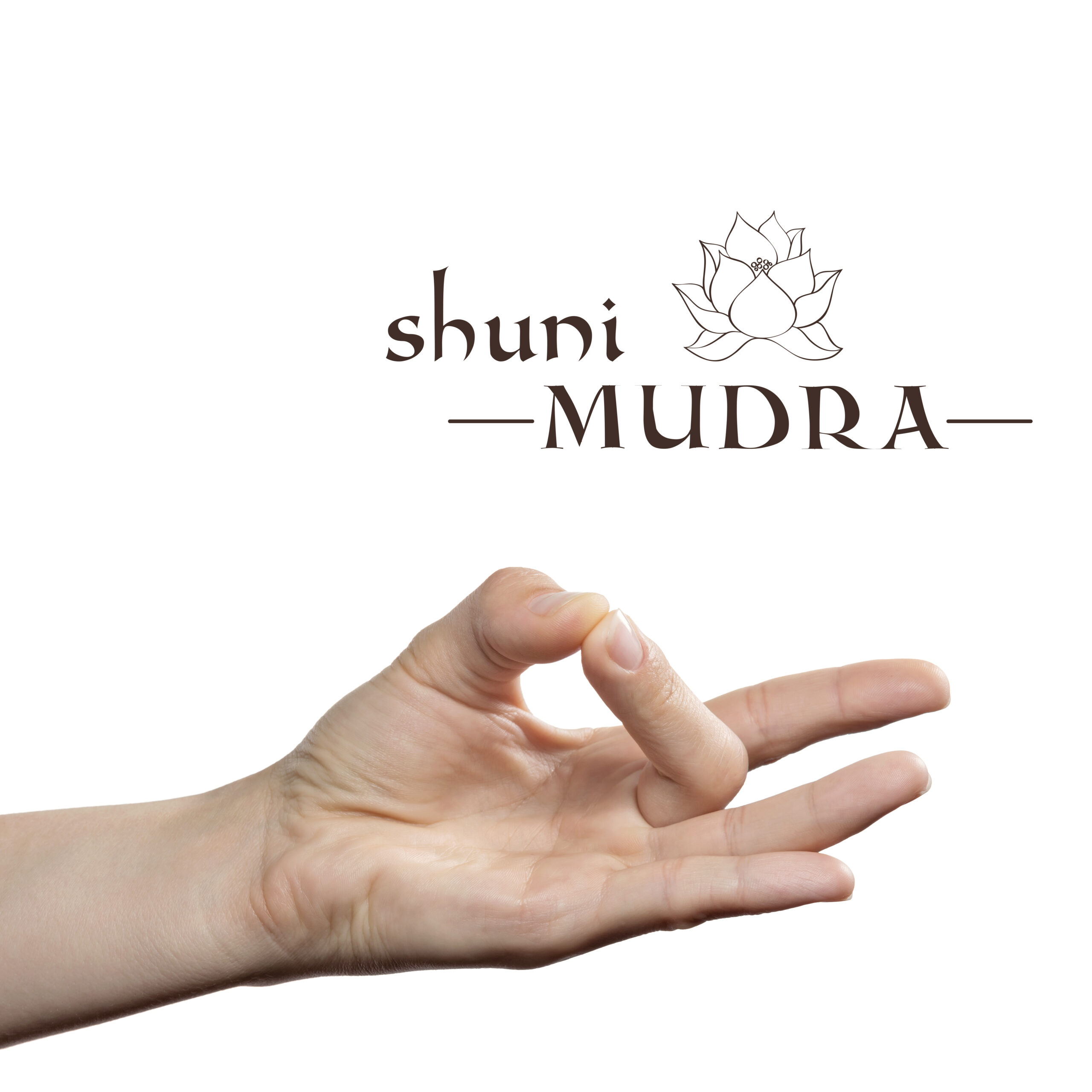Shuni Mudra