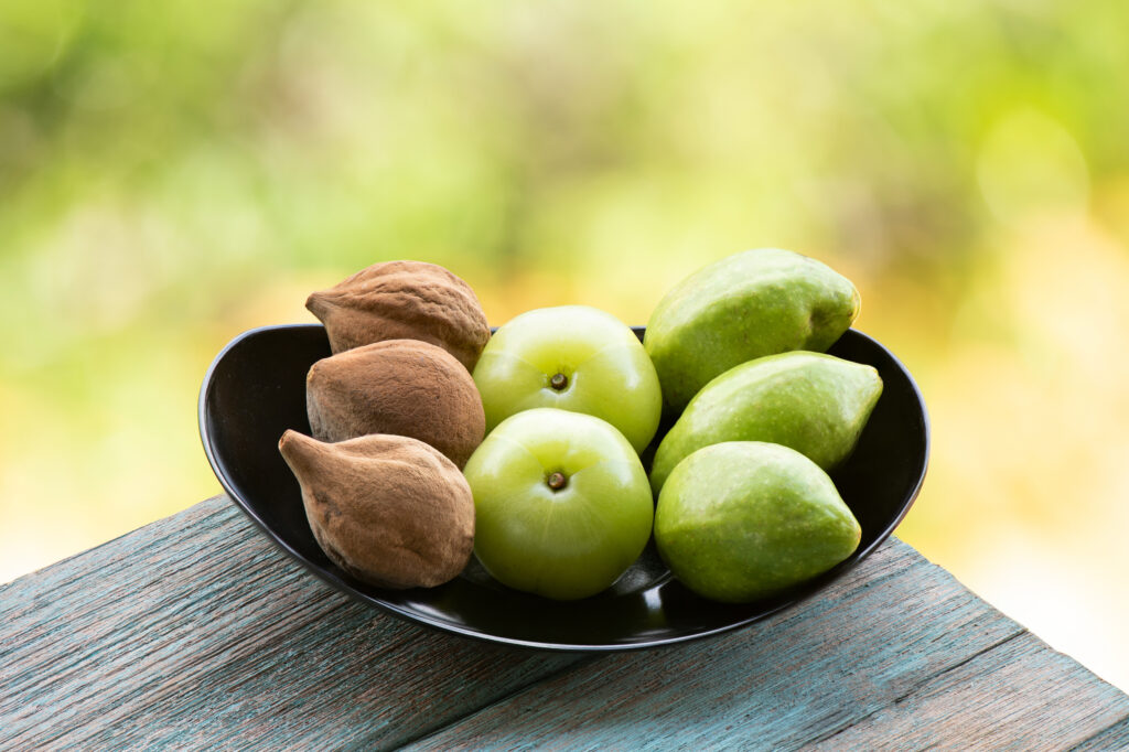 Die Früchte Amla, Bibhitaki und Haritaki