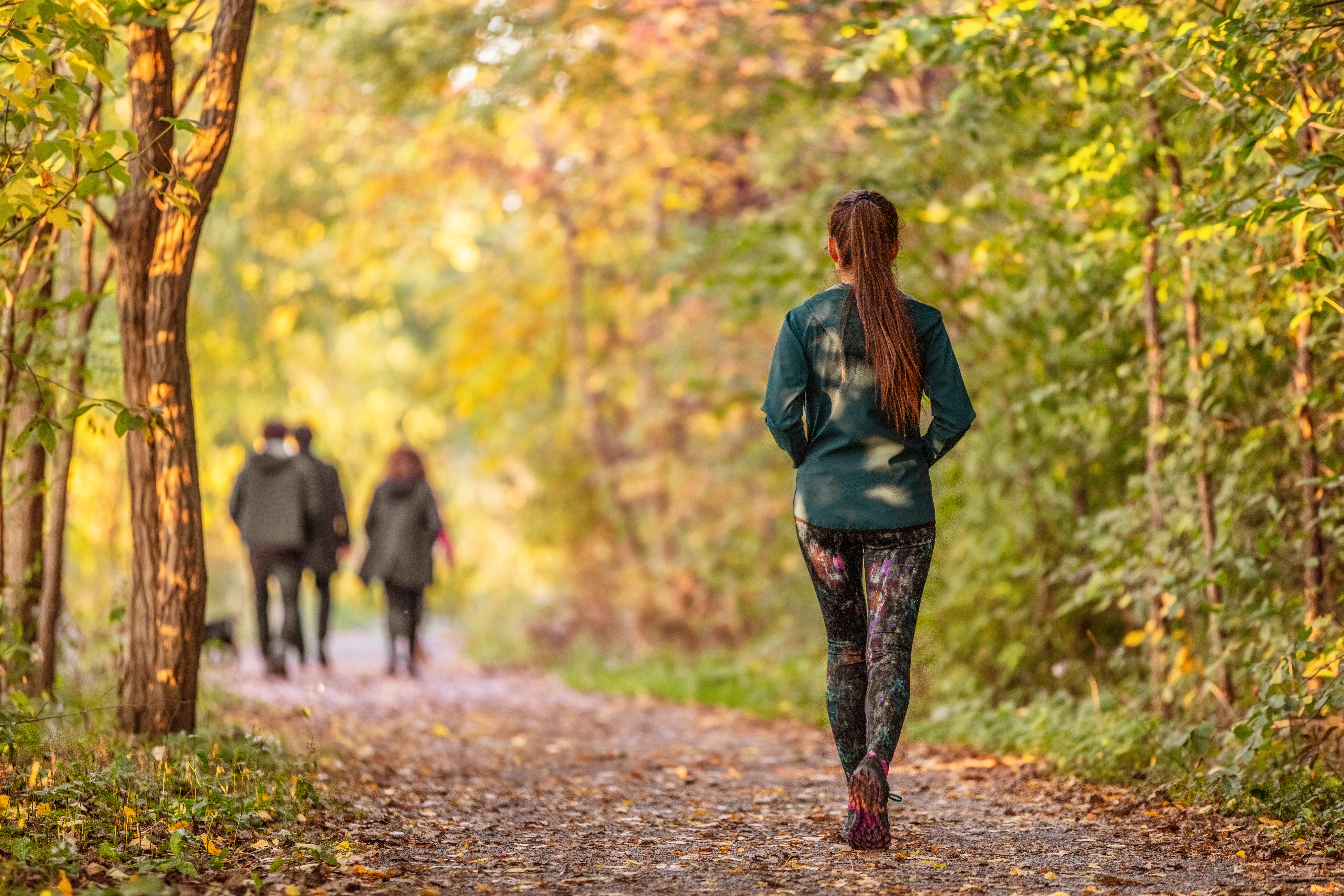 Ein beruhigender Waldspaziergang