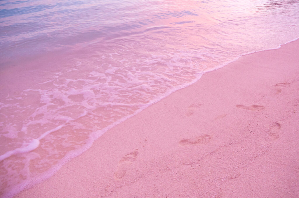 Pink Sand Beach auf Harbour Island